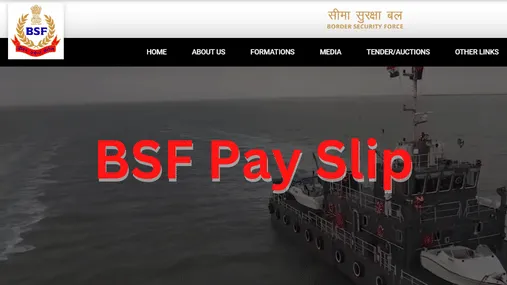 BSF Pay Slip