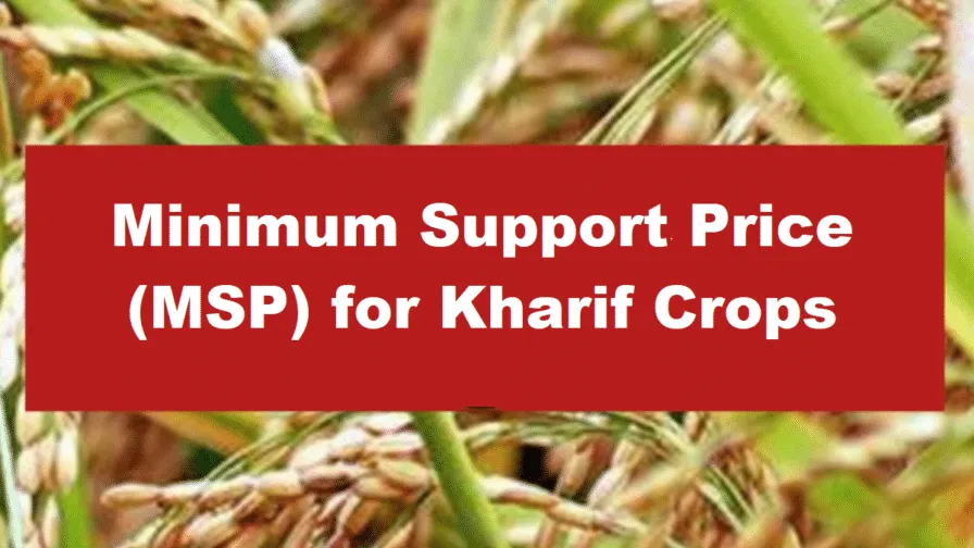 MSP For Kharif Crops