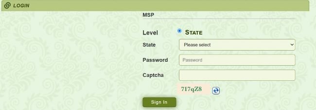 MSP Online Login