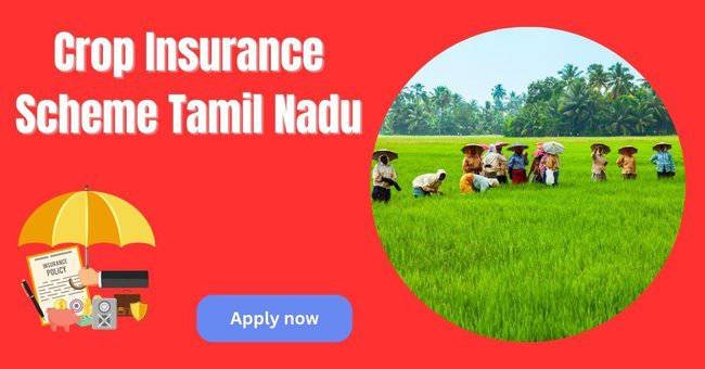 Crop Insurance Scheme Tamil Nadu