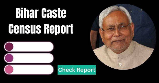 Bihar Caste Census Report