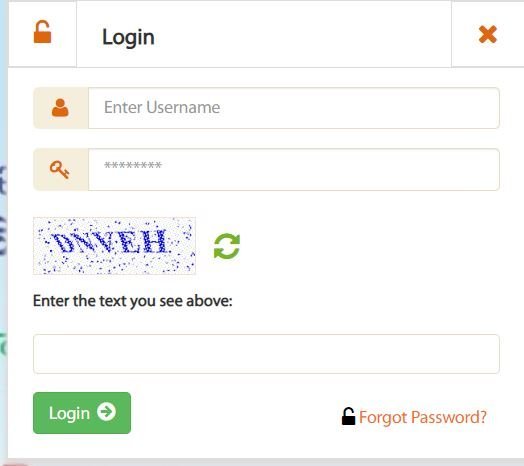 Login Form