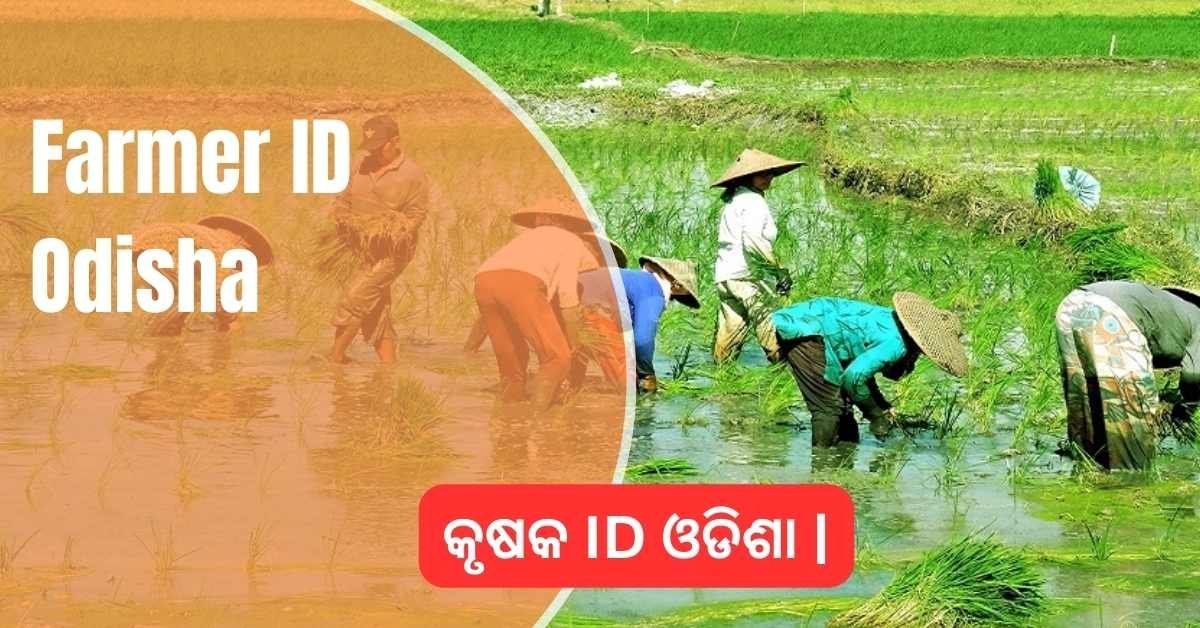 କୃଷକ ID ଓଡିଶା |