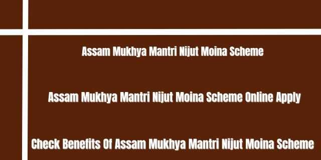 Assam Mukhya Mantri Nijut Moina Scheme