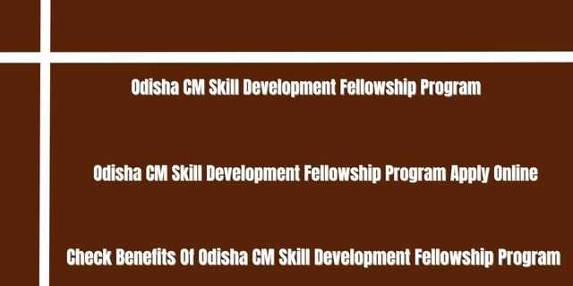 Odisha CM Skill Development Fellowship Program