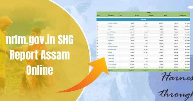 nrlm.gov_.in-SHG-Report-Assam-Online