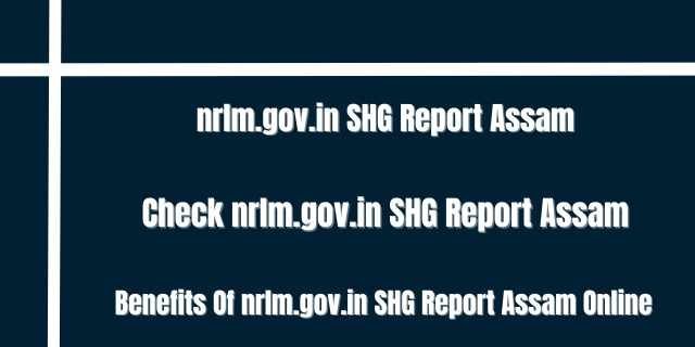 nrlm.gov.in SHG Report Assam Online